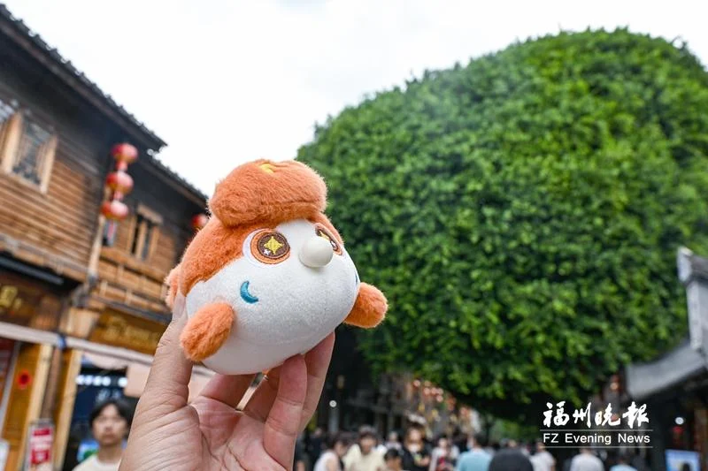 福多多与三坊七巷爱心树同框的记者实拍;不是泡泡动作演示。